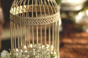 Cage à oiseau en métal